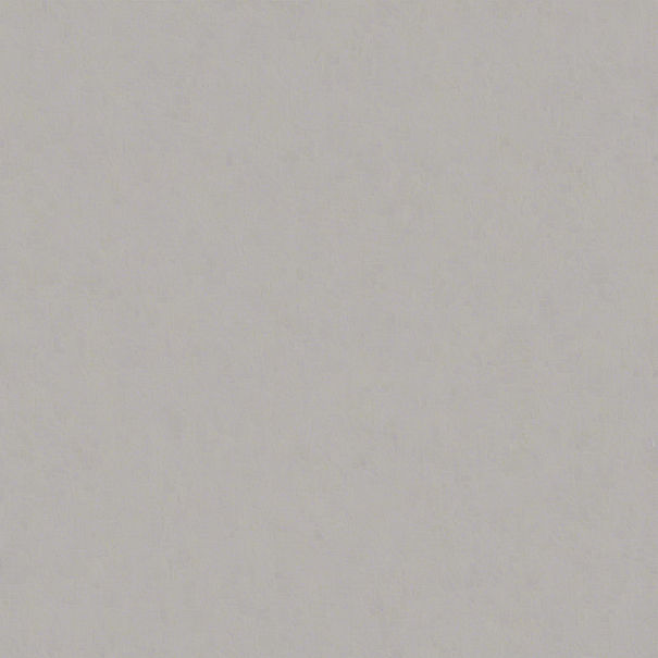 light grey.jpg