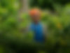 Madagascar_NosyBe2023Stills_30-edit.jpg