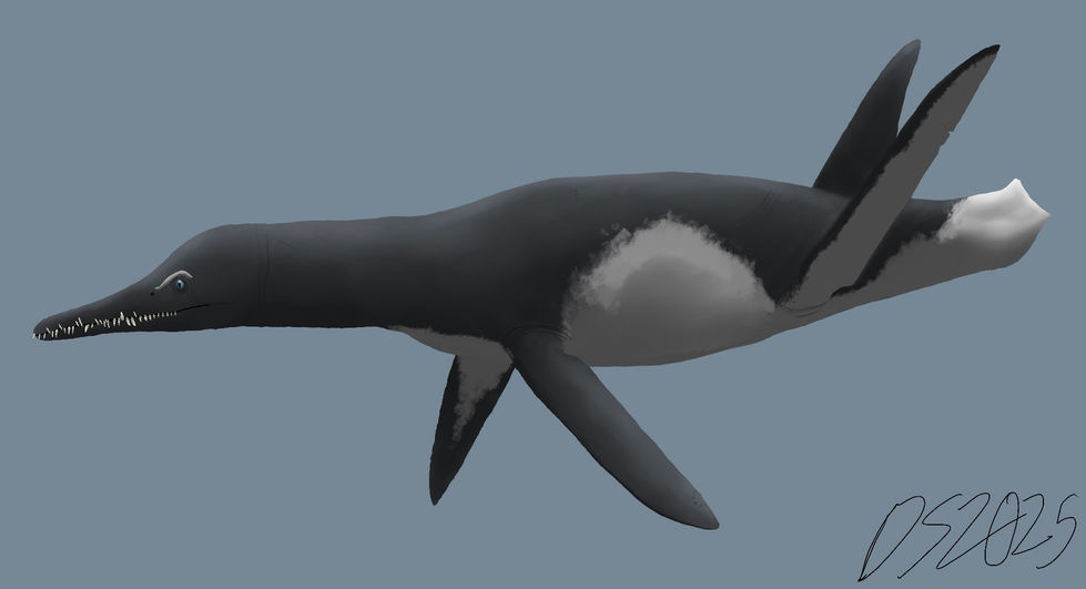 A sketch of Unktaheela specta, a short-necked plesiosaur that was described back in December of 2023.