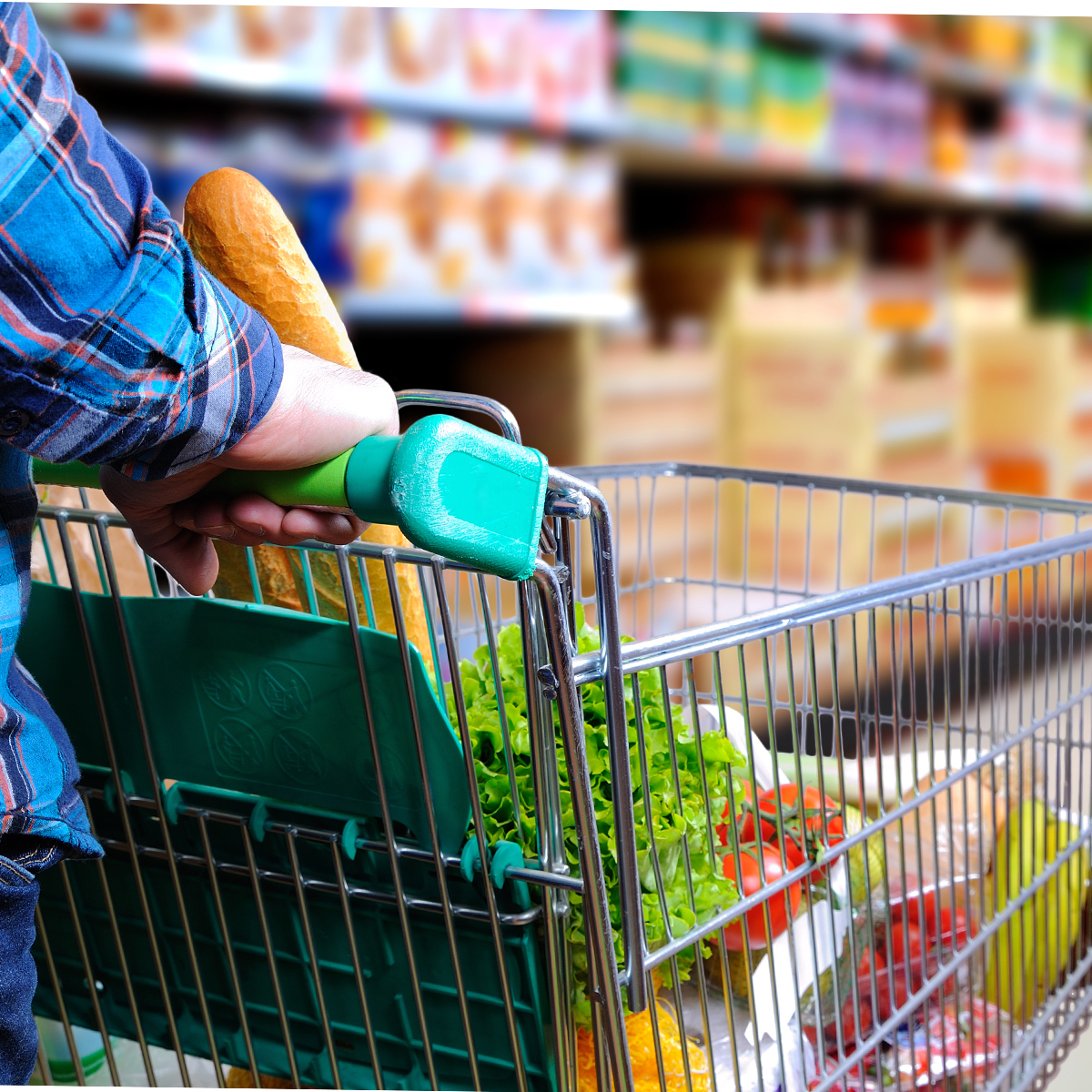 Arranged Food and Objects