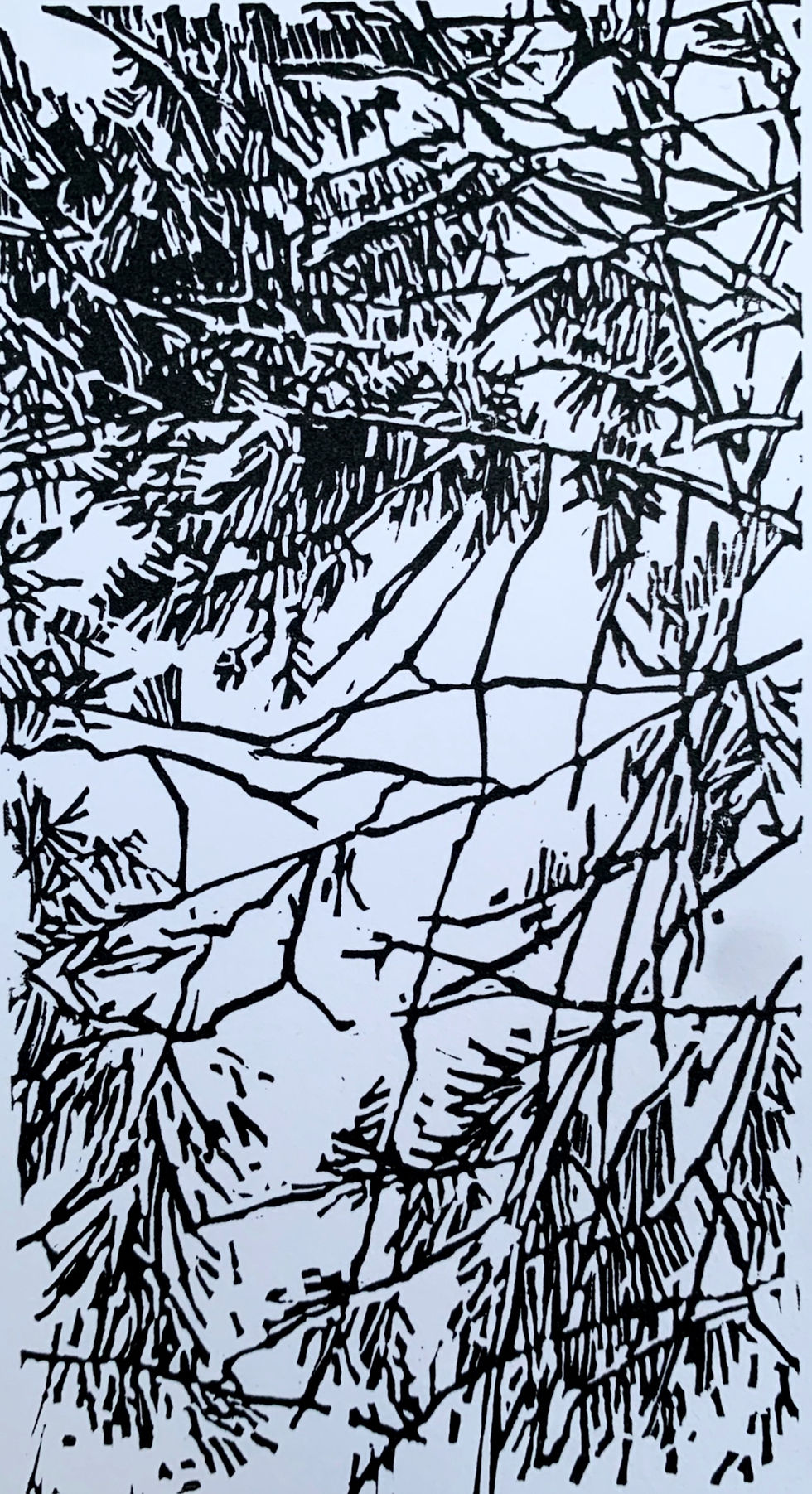 Thumbnail: Canopy, 2023