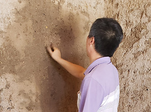 20190820_113440 72pix 12h.jpg