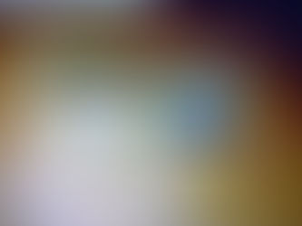 Discurso de Posse - Confrade Adão Alonço dos Reis