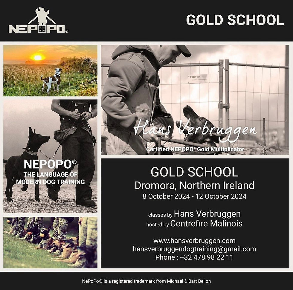 NEPOPO® GOLD SCHOOL 2024