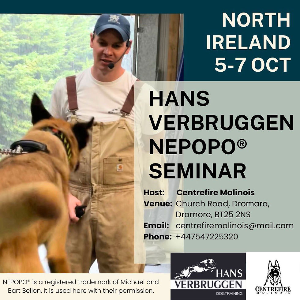 HANS VERBRUGGEN NEPOPO® SEMINAR 2024