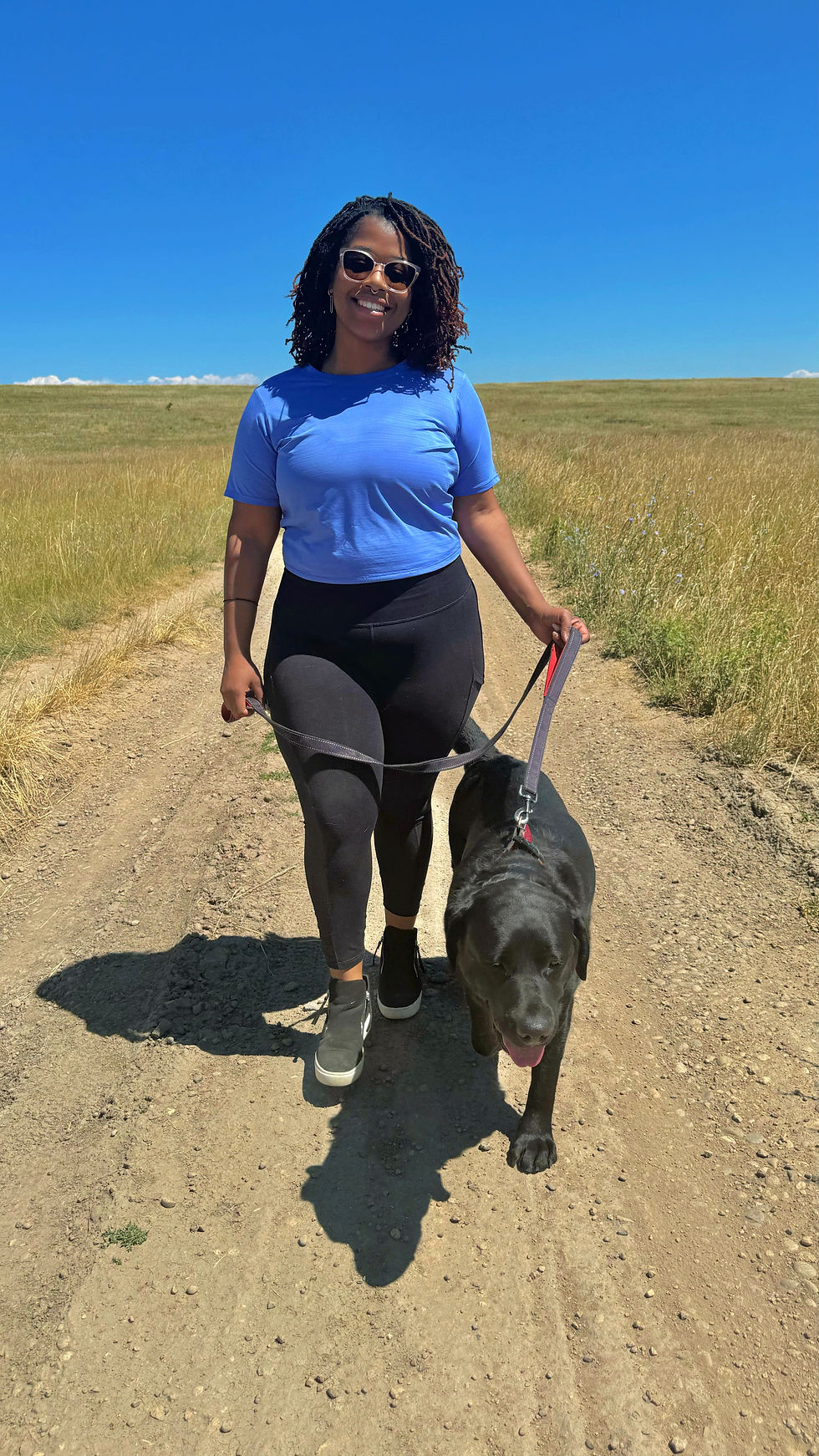 Midday dog walking service Lakewood CO