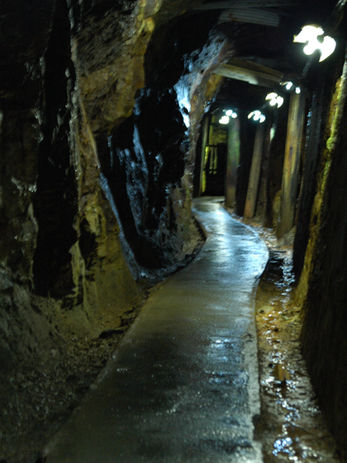 笹畝坑道 (1).JPG