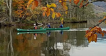 DSC_2769.JPG