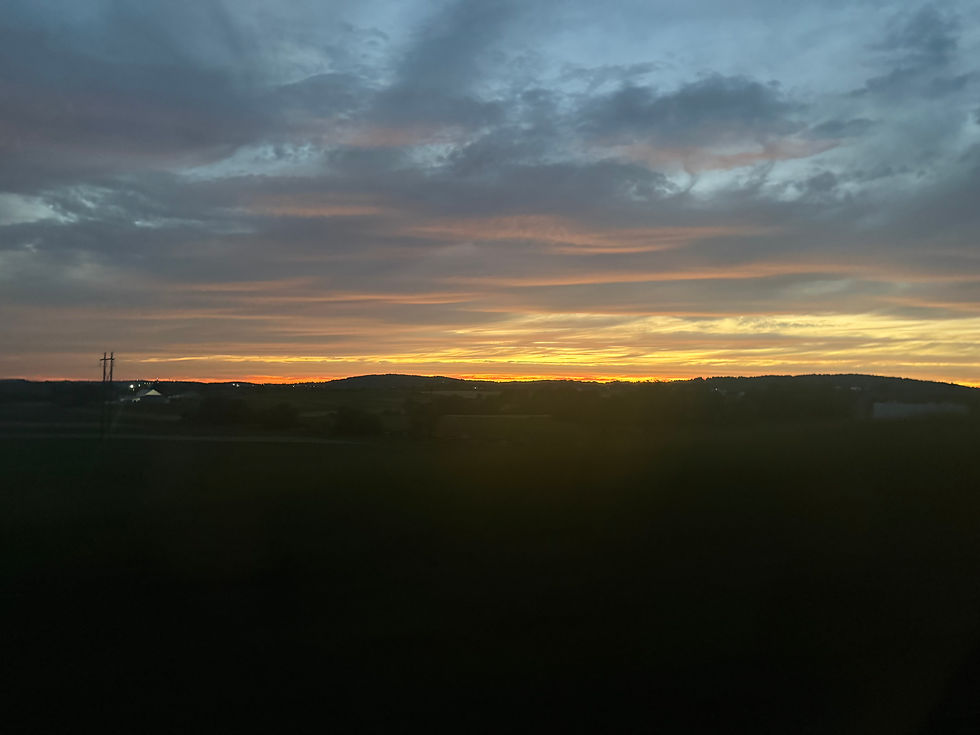 IMG_6007.jpeg