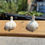 Thumbnail: Jumbo Garlic