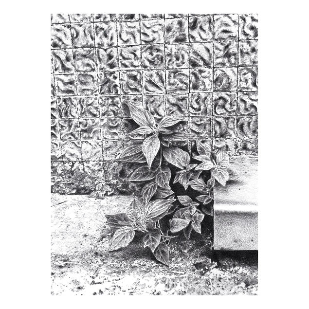 mauvaises herbes 19.jpg