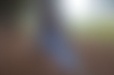 Jasmin's Shorty Howell Park