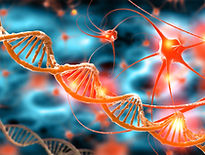 active nerve cells &DNA.jpg