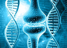 neuron electric impulse&dna.jpg