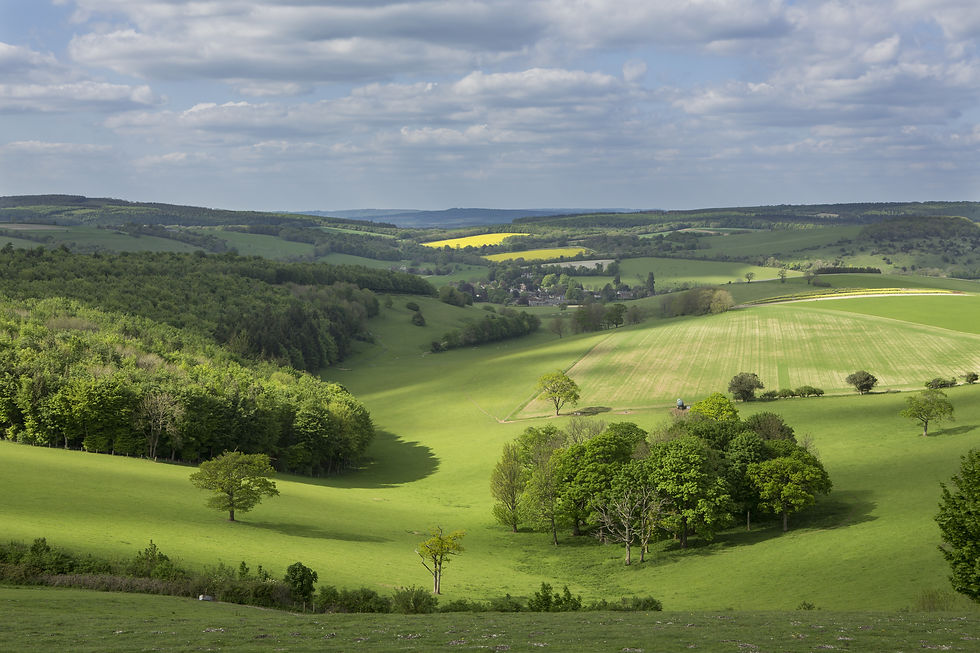 South Downs National Park