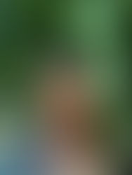 Emmitsburg, MD Energy Report: Feminine Healing, Dragon Currents & Ley Line Work