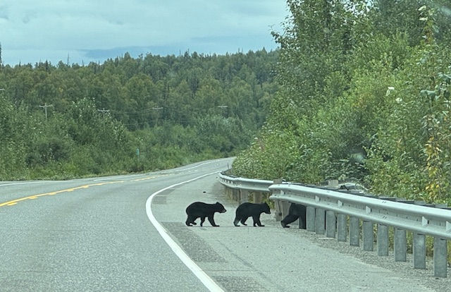 Happy Family across the road.