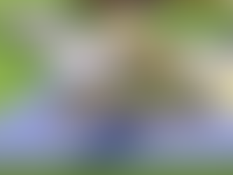 Children's Auction awards $5,000 to Meredith skatepark