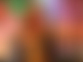 Brenda Martel is a Children's Auction Champion