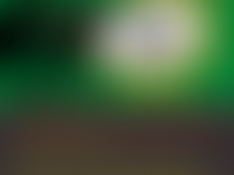 Children's Auction Super Bidders never miss an item!