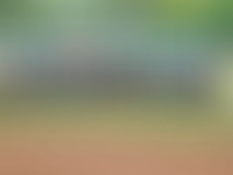 Grand Prairie, TX | Featured Military Retirement Location