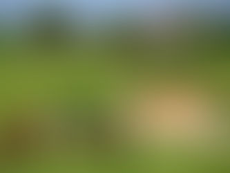 Lexington, KY | Featured Military Retirement Location