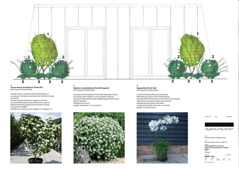 BSH9F Planters-01_reduced.jpg