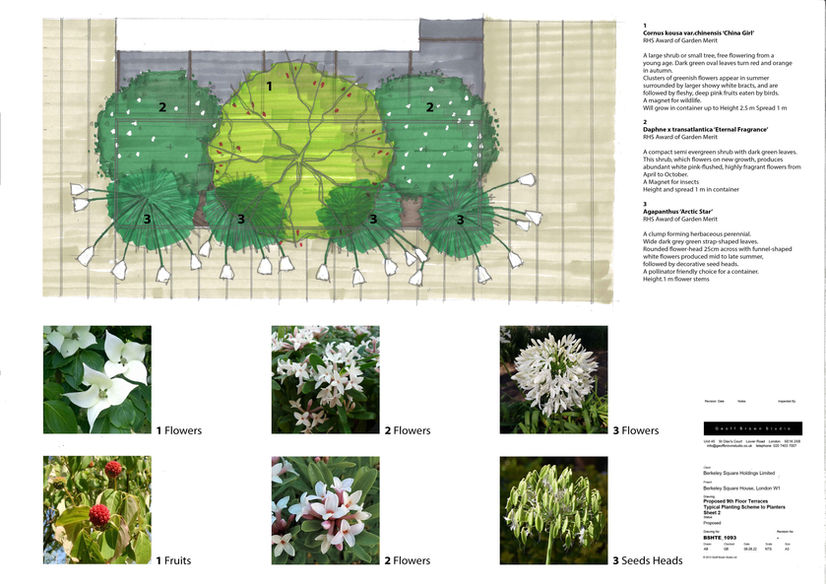 BSH9F Planters-02_reduced.jpg