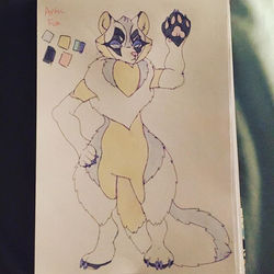 Maya Silver Fox Concept
