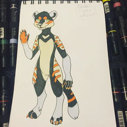 Tiger Weasel Concept