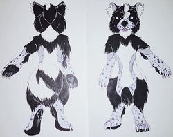 Bach Fursuit Concept