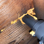 Rodent Exclusion & Preventative Services