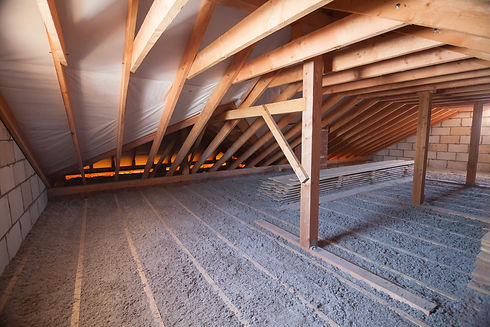Attic Cleaning Insulation Removal