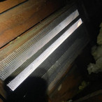 Rodent Exclusion & Preventative Services