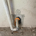 Rodent Exclusion & Preventative Services