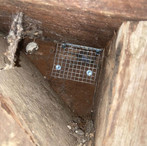Rodent Exclusion & Preventative Services