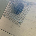 Rodent Exclusion & Preventative Services