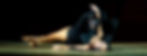 12046705_10154285844565558_7451006391029682417_n_edited.jpg
