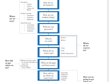 WHOSE VISION IS IT ANYWAY?