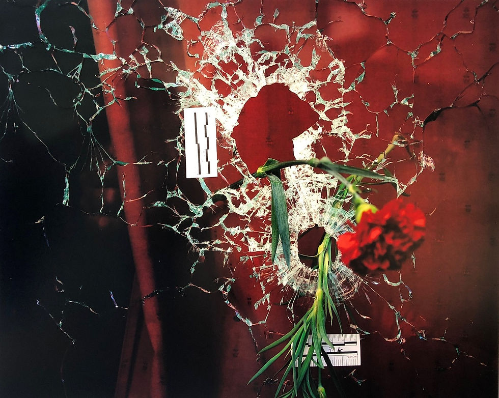 PARIS パリ同時テロ 写真展 戦争と花 ギャラリーMass 神宮前