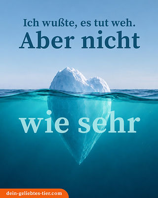 042 wie sehr.jpg