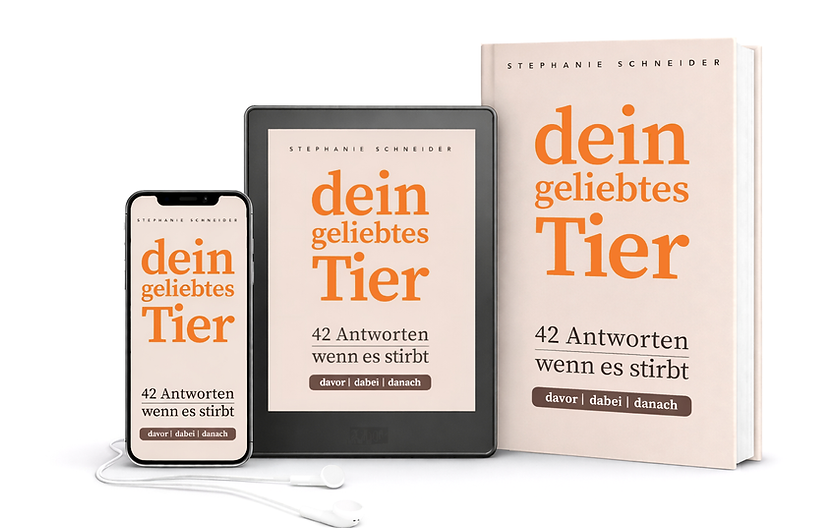 Buch neu.png