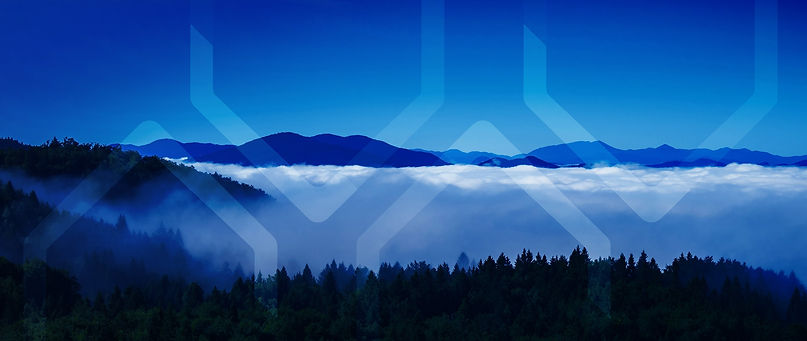 bg_nature_samlaberge copie111.jpg