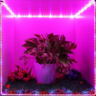 346-0603_ 12' LED Grow Tape Light_P_in-u