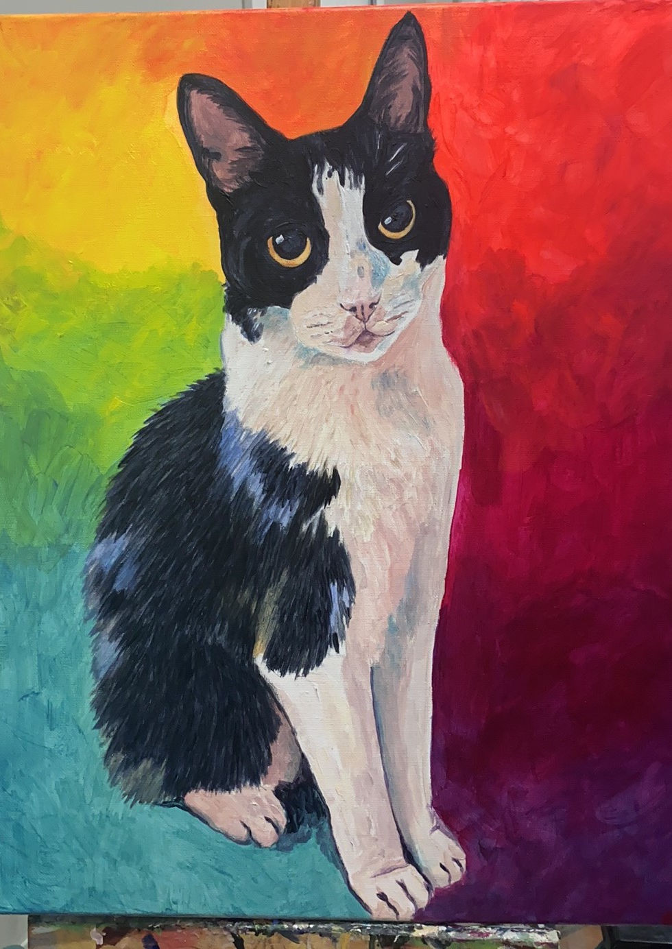 Rainbow Cat 16x20.jpg