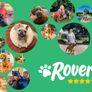 Rover Postcard