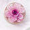 Miniatura: Gelatina Pilsac 300 Bloom