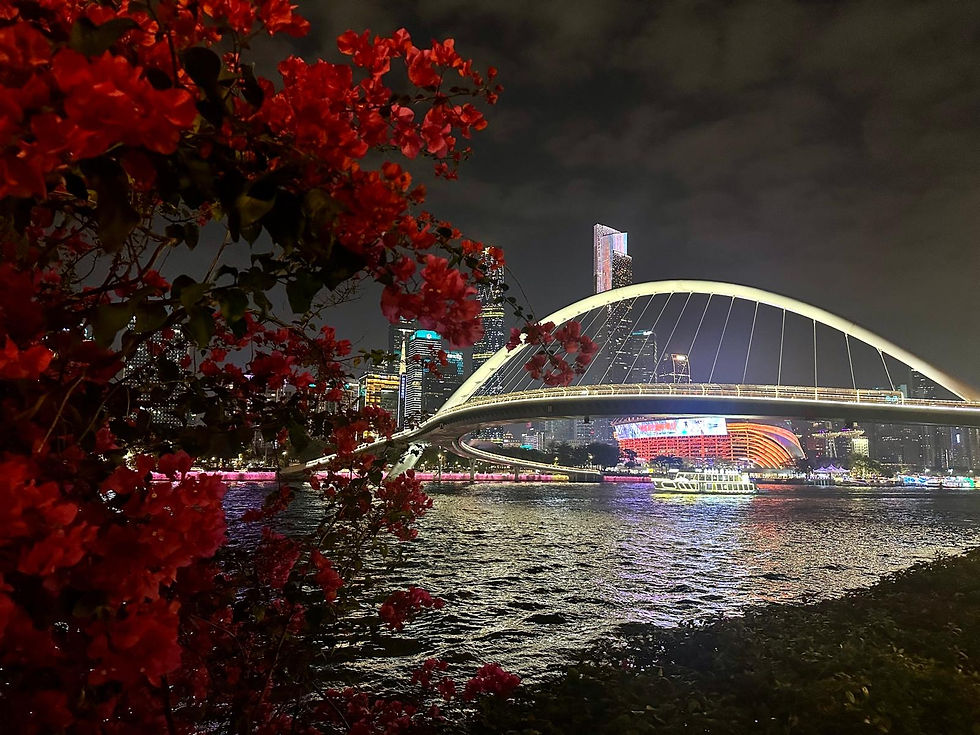 City view and the River Pearl