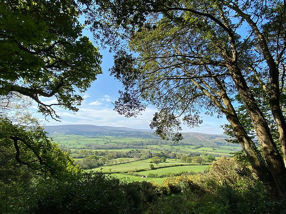 Cross Lane House, Porlock, Exmoor, Place
