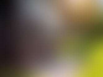 Wärmepumpe: Kosten, Förderung und Vorteile für Ihr Zuhause